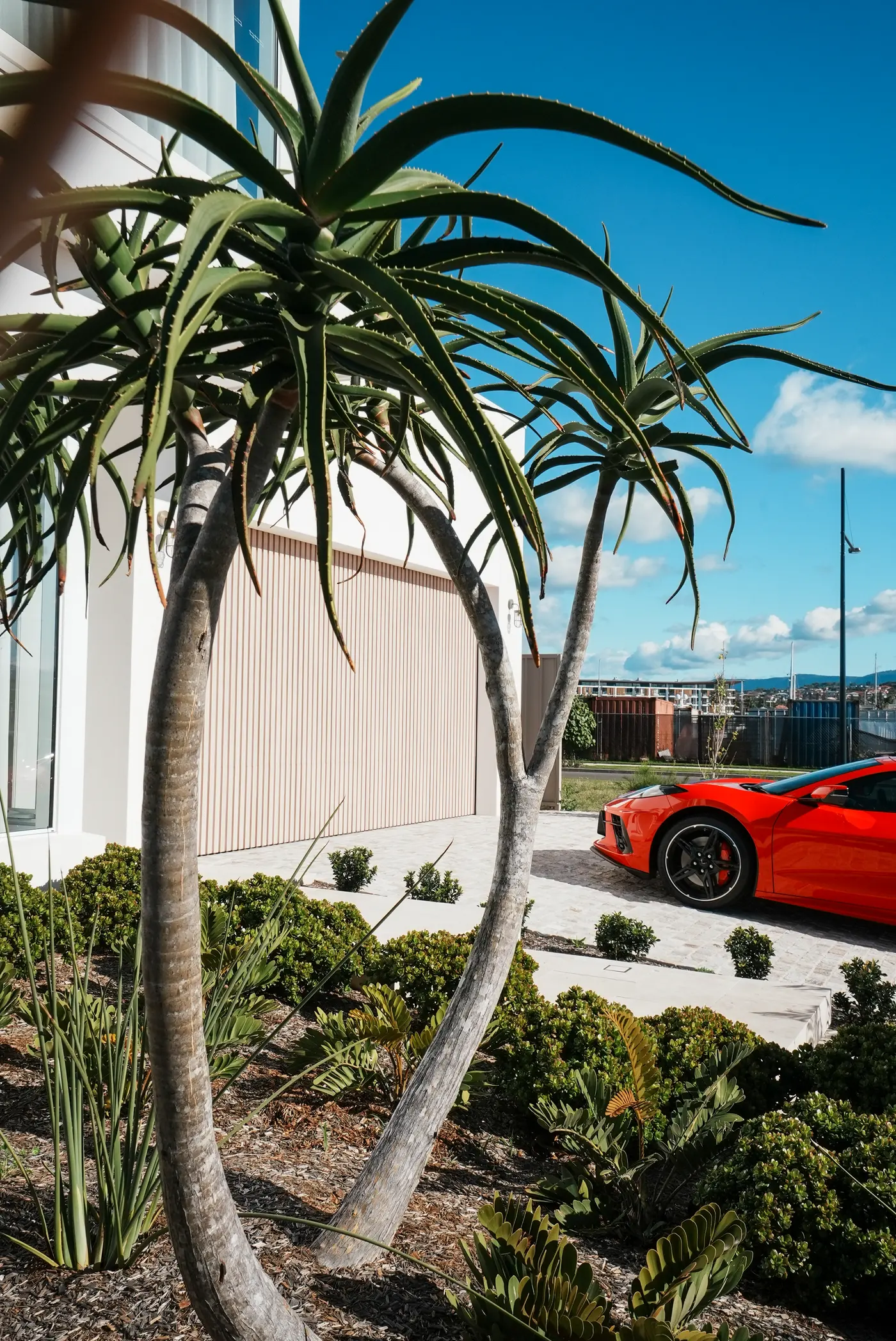 RAC Garage Doors — glazing and render